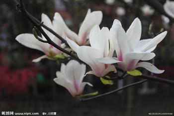 u=3508117818,1352841374&fm=23&gp=0.jpg
