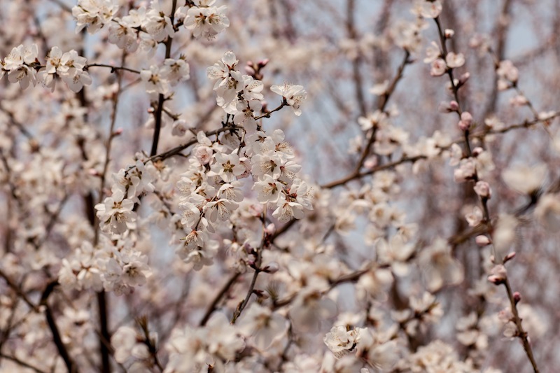 2013_03_30_0235.jpg