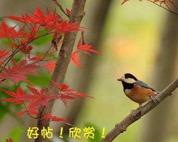 u=3584026310,367926921&fm=23&gp=0.jpg