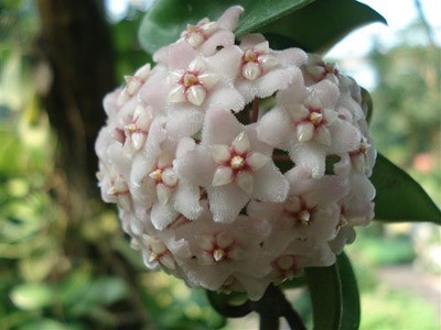 20130406145308_328945.jpg