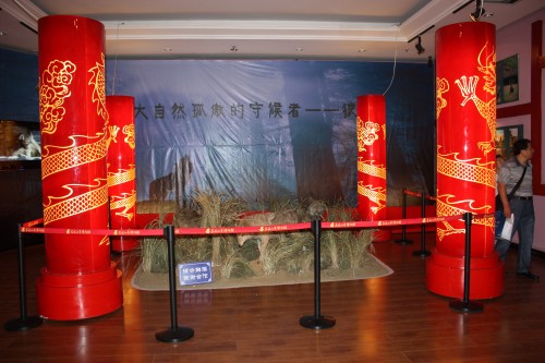 IMG_6722_conew1.jpg