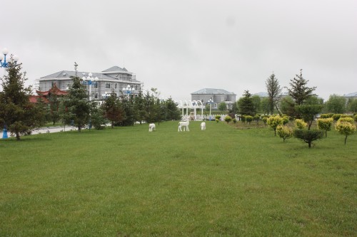 IMG_5746_conew1.jpg