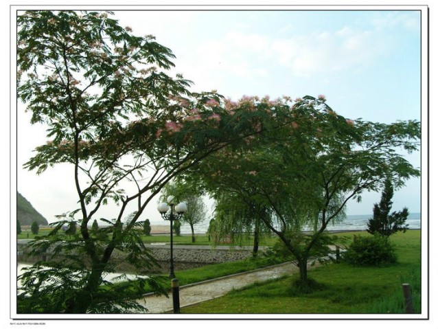 psb_conew1.jpg