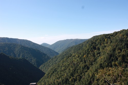 IMG_0522_conew1.jpg
