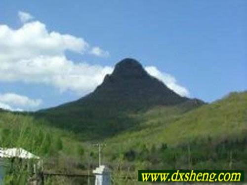 200831317352762_conew1.jpg