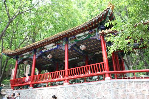 IMG_0266_conew1.jpg