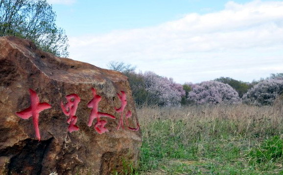 ˿ӻ02.jpg