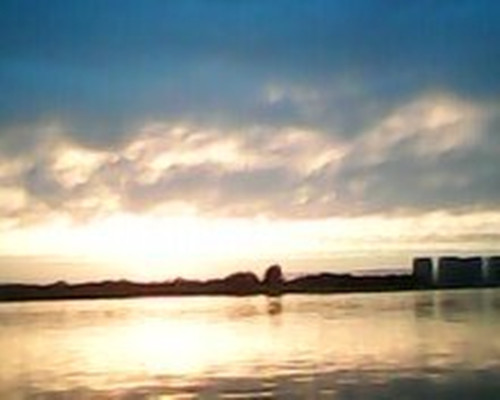 05.jpg