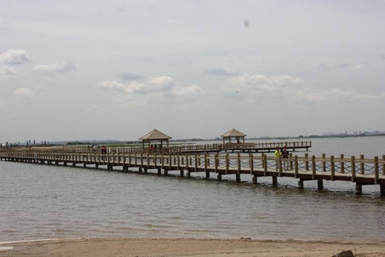 IMG_1346_conew2.jpg