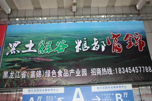 IMG_2569_conew1.jpg