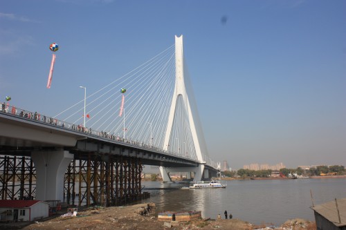 IMG_3785_conew1.jpg