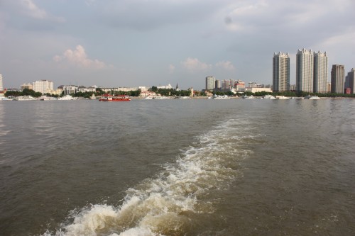 IMG_3170_conew1.jpg