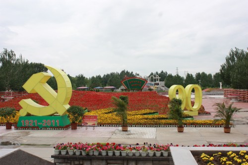 IMG_0952_conew1.jpg