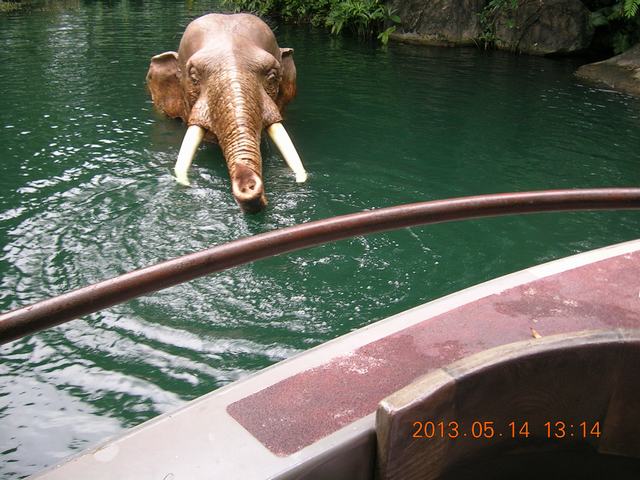 DSCN2273.JPG