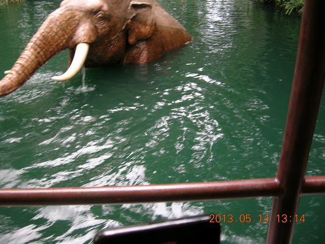 DSCN2274.JPG