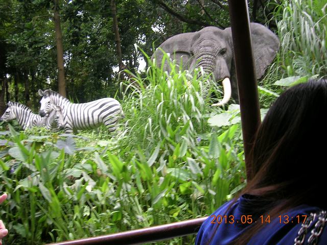 DSCN2282.JPG
