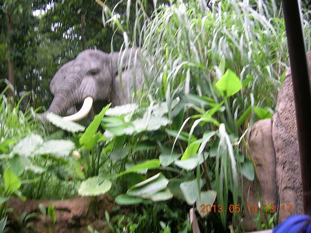 DSCN2283.JPG