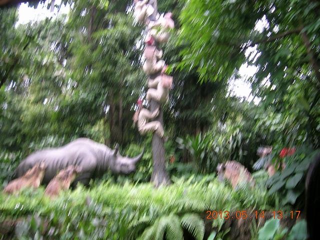 DSCN2287.JPG