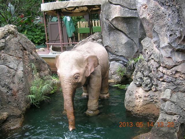 DSCN2289.JPG