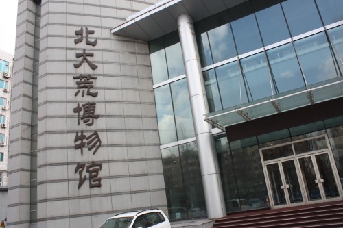 IMG_7646_conew1.jpg
