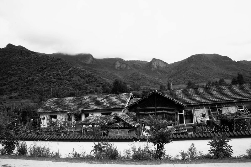 _MG_2008_1.JPG