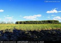 u=624946441,251583249&fm=15&gp=0.jpg