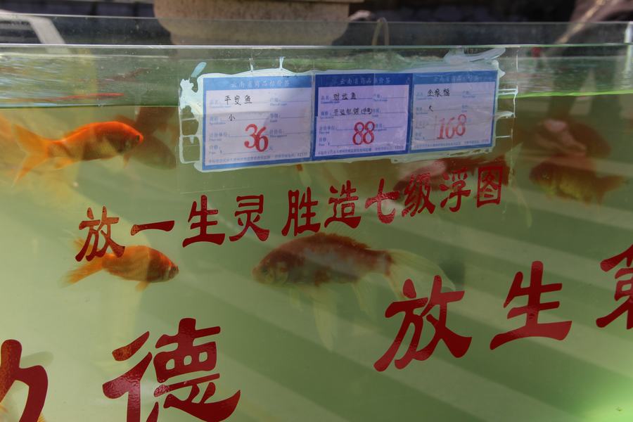 ʥ 133.jpg