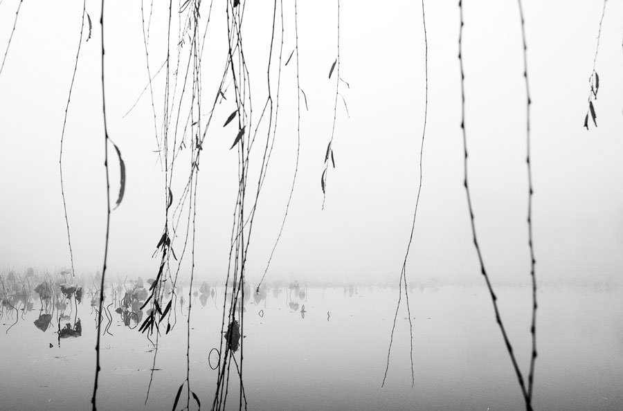 201011116471300092400.jpg