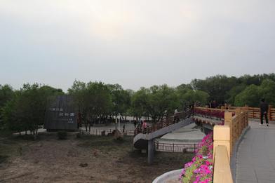 IMG_7164.JPG