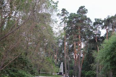 IMG_7154.JPG