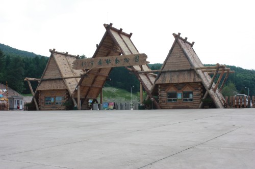 IMG_0838_conew1.jpg