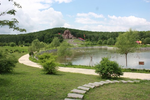 IMG_0691_conew1.jpg