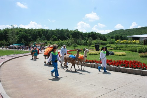 IMG_0653_conew1.jpg