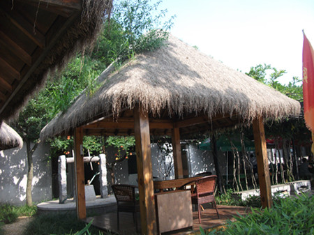 DSCF2726_.jpg