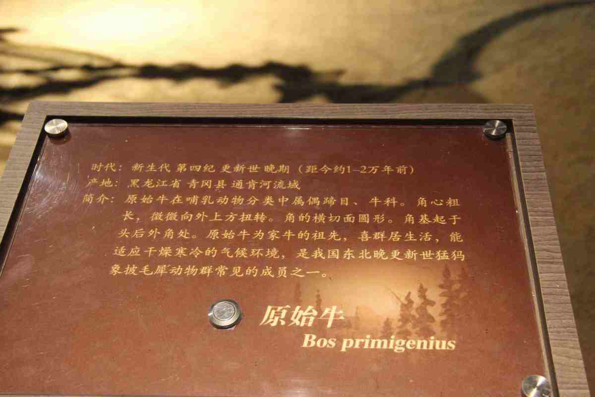 IMG_7497.JPG