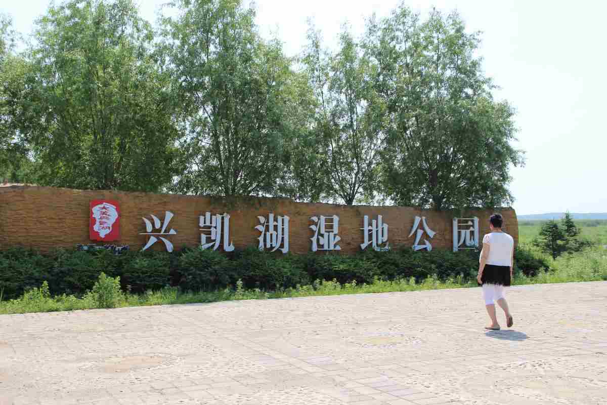 IMG_7893.JPG