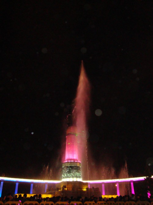 DSC05801_conew1.jpg