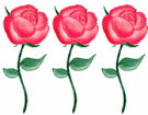 QQͼƬ20130506183209.gif