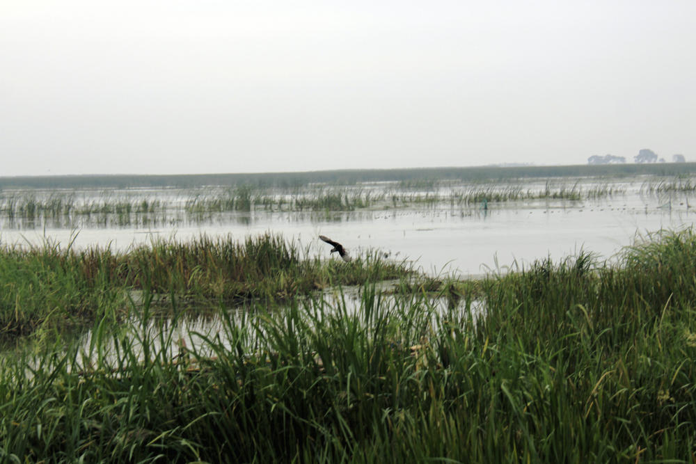 _MG_6581__1.JPG