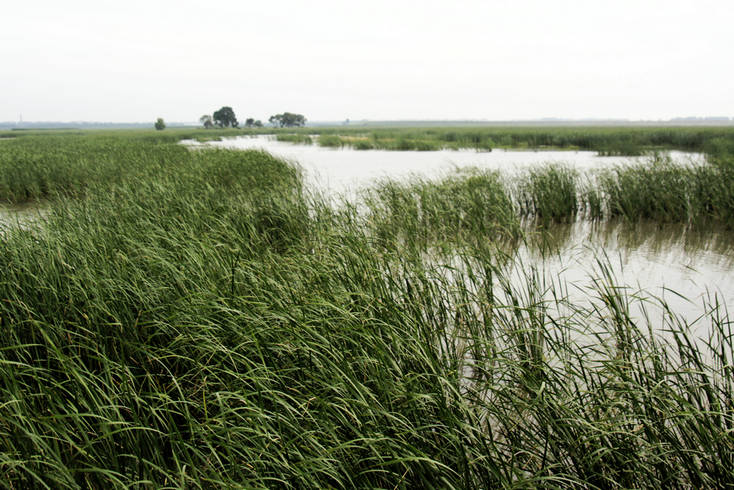 _MG_6656__1.JPG