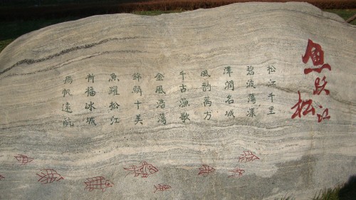 DSC07363_conew1.jpg