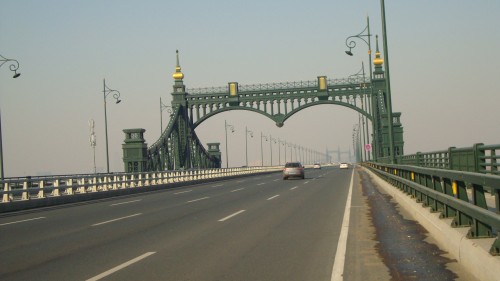 DSC07386_conew1.jpg