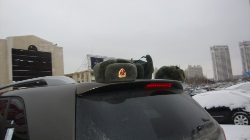 DSC07915_conew1.jpg