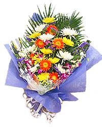 u=391529029,657494703&fm=23&gp=0.jpg