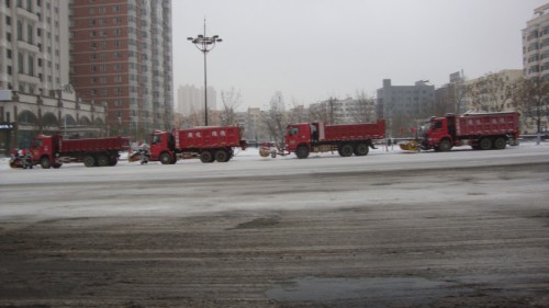 DSC07597_conew2.jpg