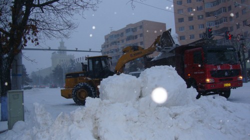 DSC07728_conew1.jpg