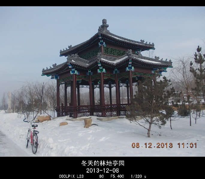 BigBull_2013.12.8 001_.jpg