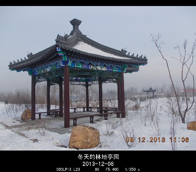 BigBull_2013.12.8 002_.jpg