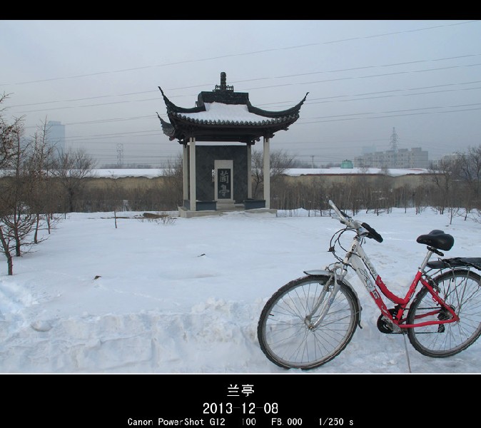 BigBull_2013.12.8 082_.jpg