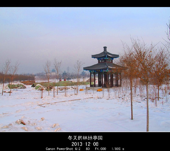 BigBull_2013.12.8 111_.jpg